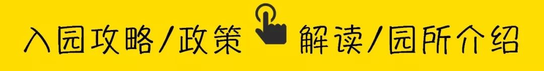 深圳计生信息怎样登记,深圳公立幼儿园计生部门没审核