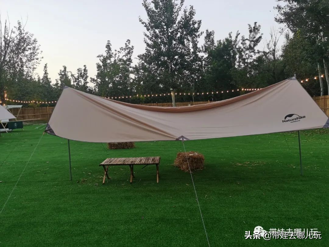 北京五环内新开萌宠乐园,除了喂动物,还能玩大滑梯、免费享帐篷