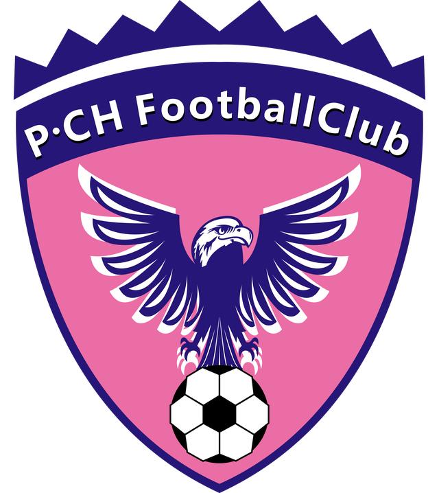 2019中乙球队深圳鹏城,中乙退出联赛最新信息