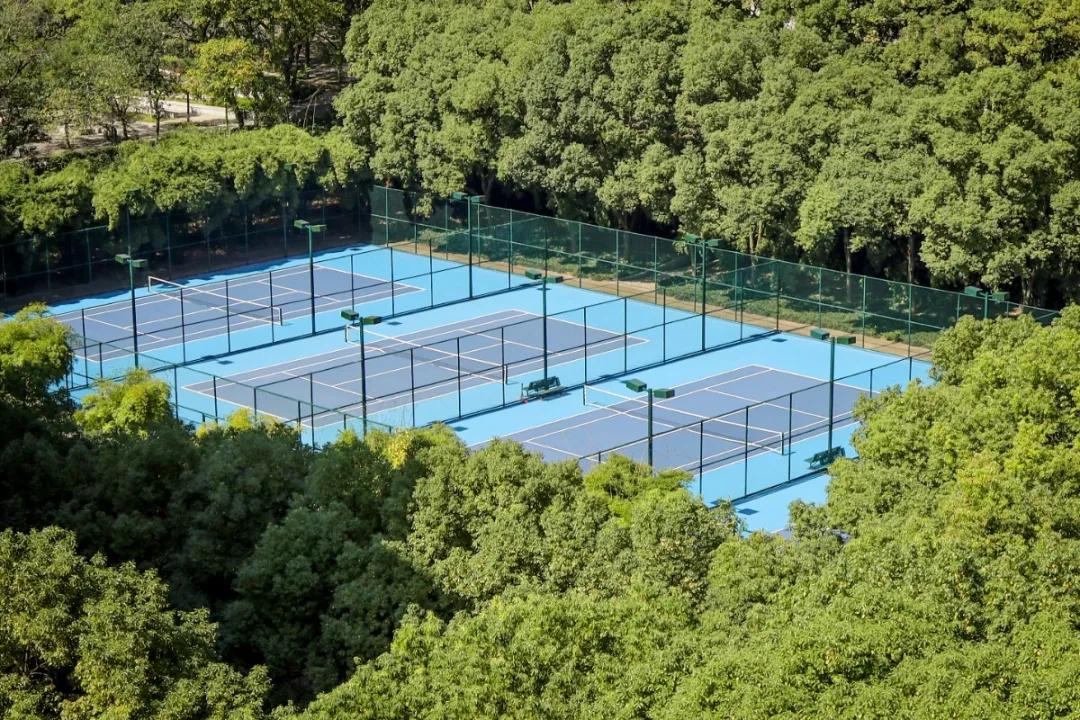 南华大学临床硕博连读,南华大学推免博士研究生