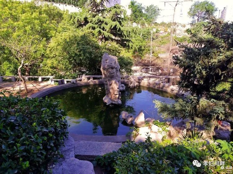 博山初夏风景图片,在博山公园藏着独特的宁静