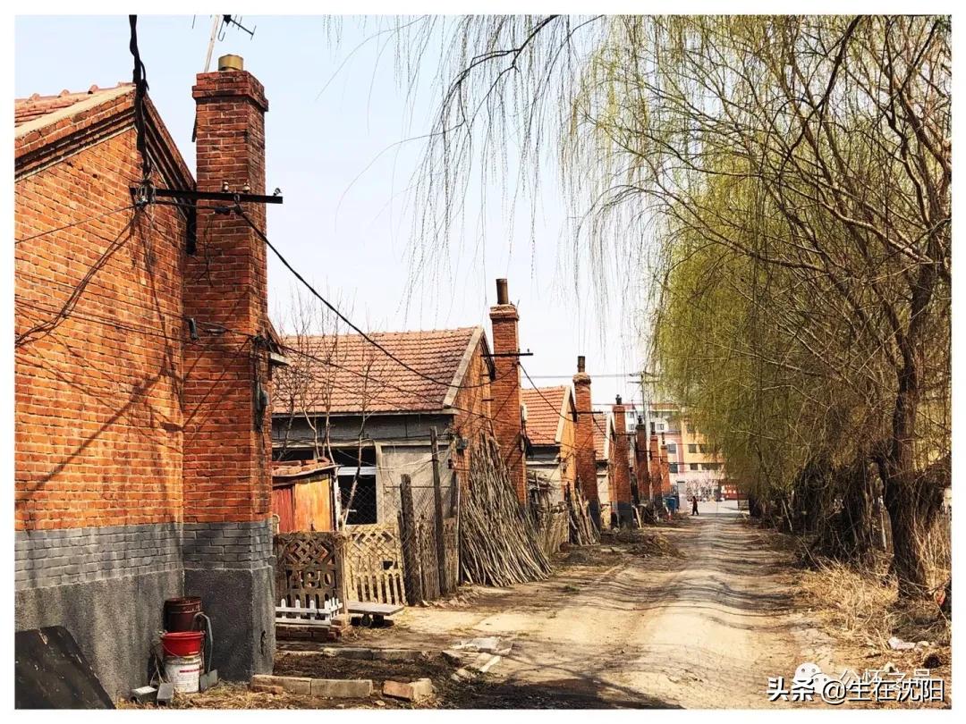 沈阳回忆,沈阳兴华实验学校回忆录