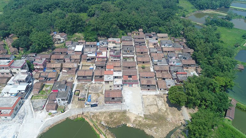 村委会村情概况,村情一表通