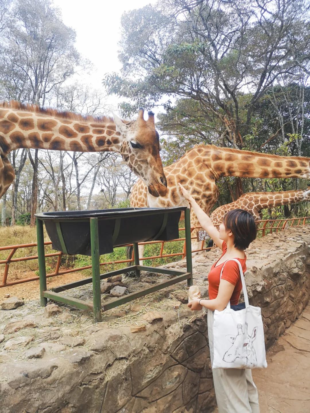 十年蝶变的女孩,十年逆袭的女人