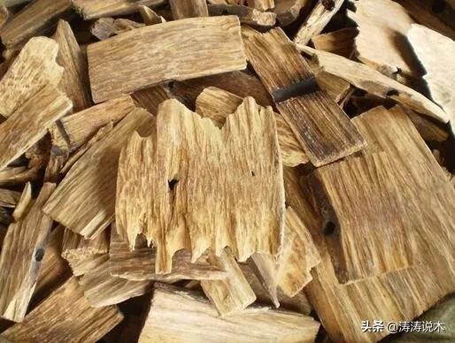 沉香木是什么树形成的长什么样,沉香木是怎么产生的