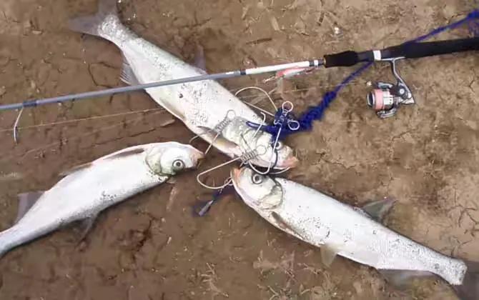 初学路亚应该准备哪些钓具,初学者路亚用什么钓具好