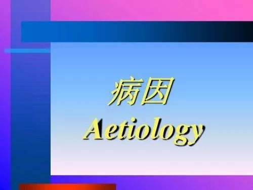 小孩常见的皮炎,学生皮炎