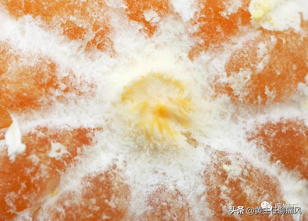 橘子里有蛆虫能吃吗,橘子吃到蛆有危害吗