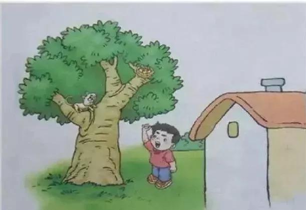 一二年级看图写话100课每日一练,一年级100篇看图写话完整版的图片