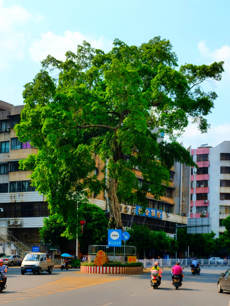 云浮小众旅游推荐,云浮小城