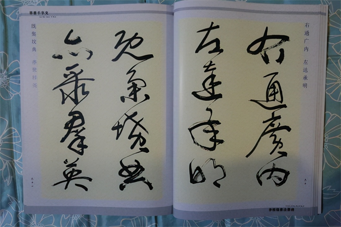 草书千字文真迹,书法千字文作品欣赏启功先生