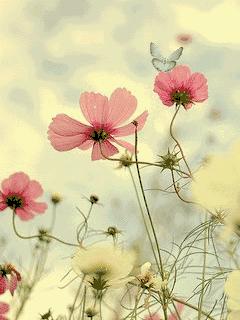 关于春天的古诗词美篇,让人惊艳的春天古诗词