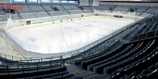 冰上运动中心奥体中心,冰上运动中心武汉体育中心