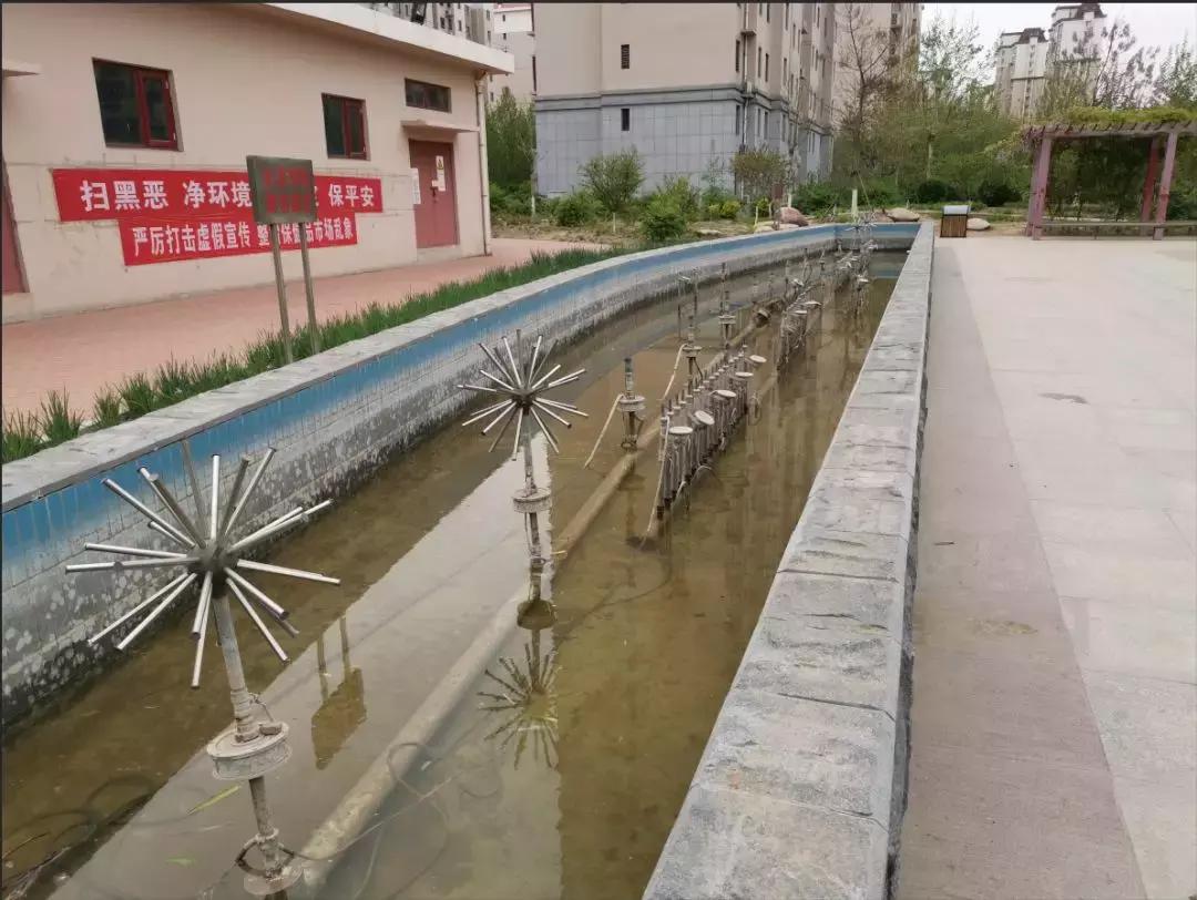 天之骄子是啥意思,天之娇子啥意思