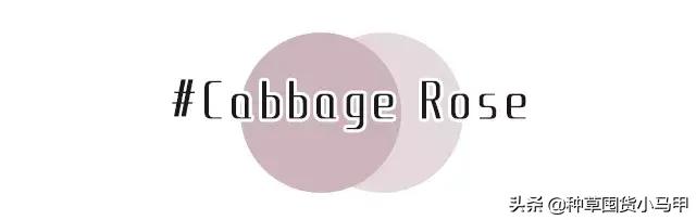 实体店被举报卖假货,专柜售假是真的吗