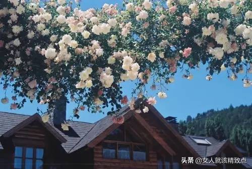 对照一下你是哪种命,你是几号出生注定你是什么命