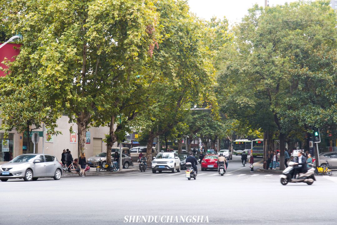 来长沙必打卡的美食一条街,长沙藏在小巷里的高质量美食