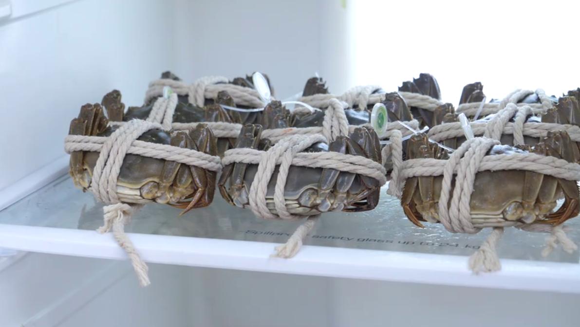 为何死掉的螃蟹不能吃,为什么死的螃蟹不能卖