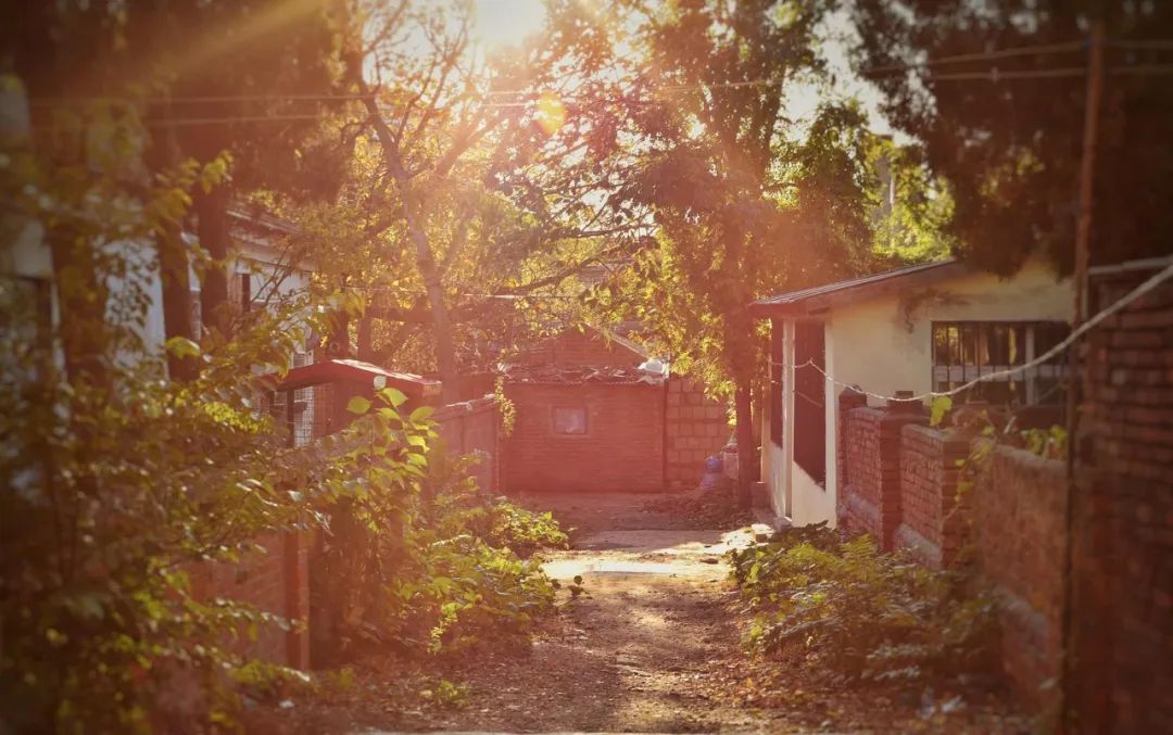 美过三亚!比厦门浪漫!中国这座海滨老城,去一次相当于环游世界