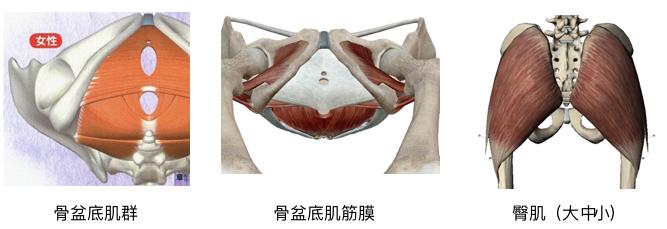 产后盆底肌训练方法,剖腹产盆底肌会松弛吗