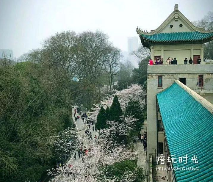 武汉旅游攻略来了一日游吃什么,武汉旅游攻略来了详细