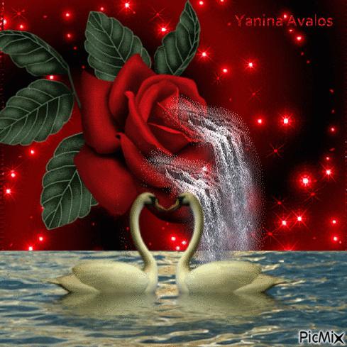 几十张绝美的图,绝美花的倒影100张图片