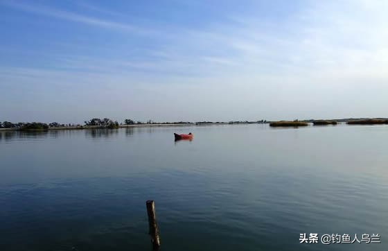 学会钓鱼真好,学会钓鱼才会懂其中的乐趣吗