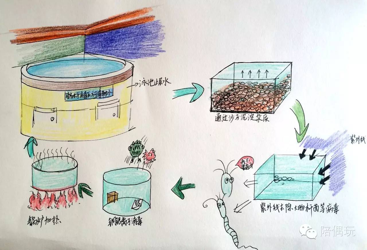 武汉室内婴儿儿童游泳馆推荐,武汉后湖儿童游泳馆推荐