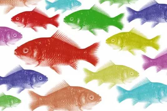 ps100种设计方法,设计小妙招photoshop