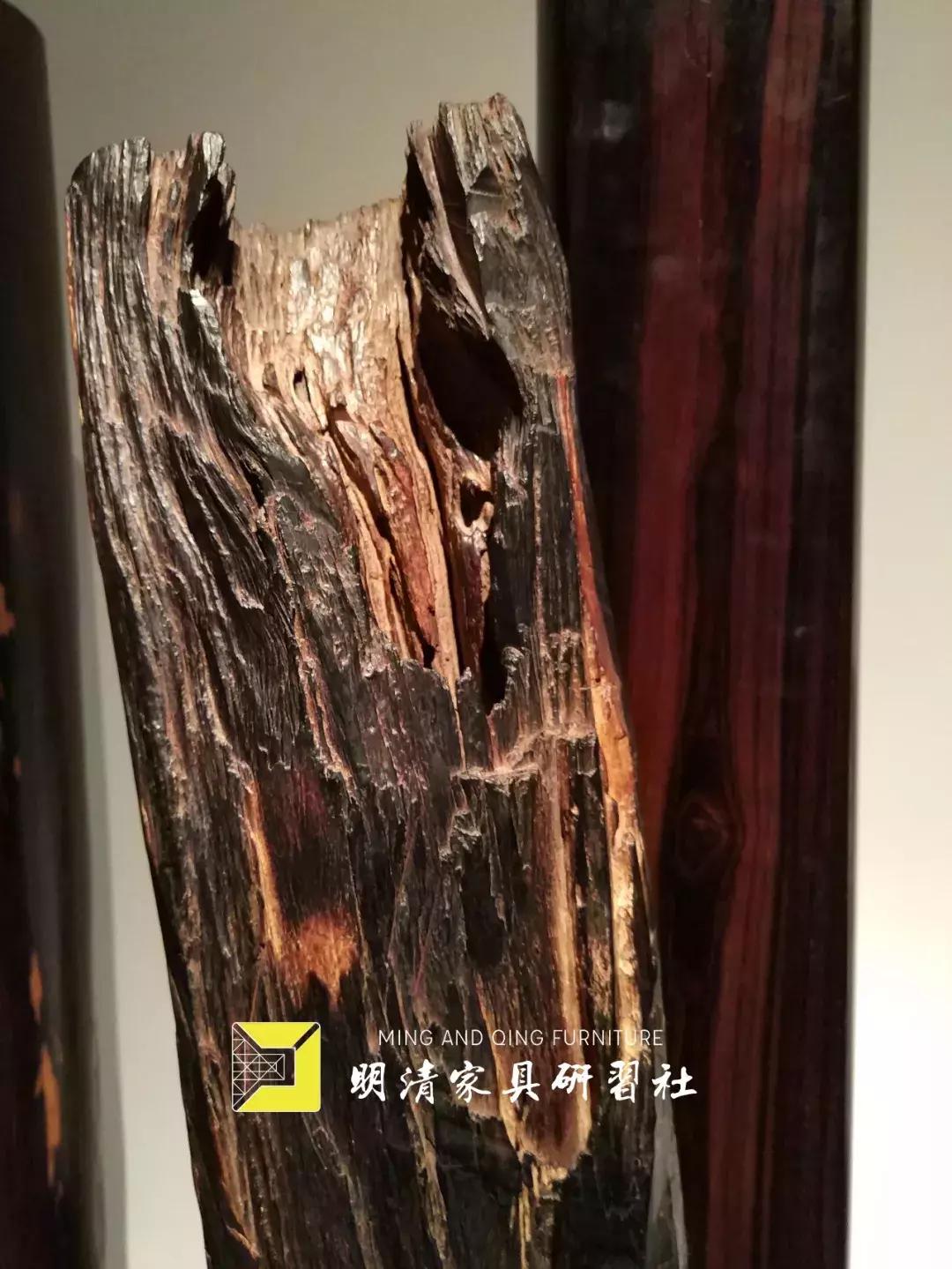 紫檀为什么那么多猫腻,紫檀的真实图片