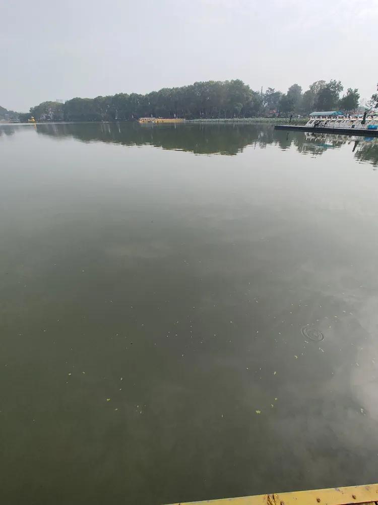 曾作为禁地，与外界隔绝二百六十多年的“玄武湖”，今日锣鼓喧天