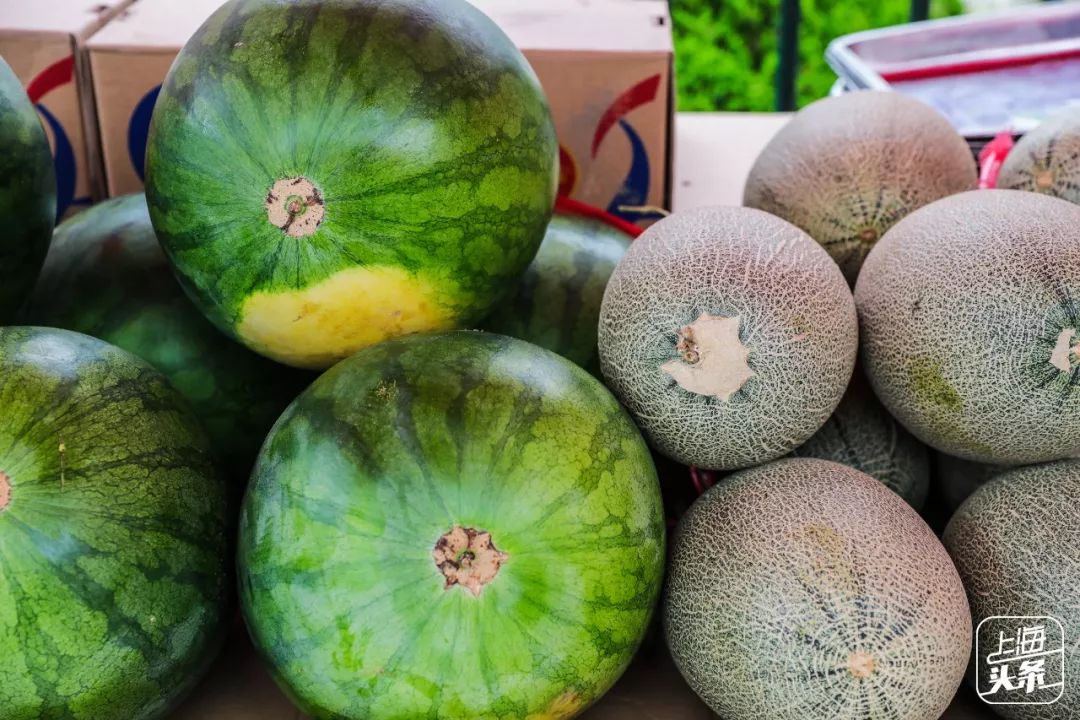 结棍！浦东版的“小*疆新**”美食一条街，让全上海人都羡慕