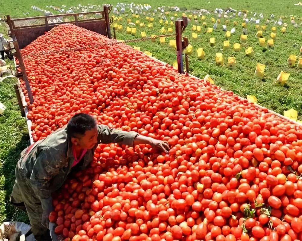 他被称为“东方亨氏”，澄明如何用1年创造3亿销量的商业神话