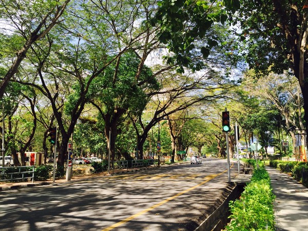 你是我生活远道而来的风景兰卡威斯里兰卡