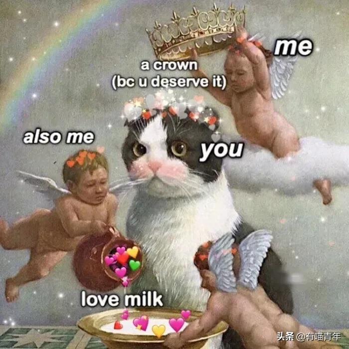 听说给猫起名越贱越好养活,科普给猫起名