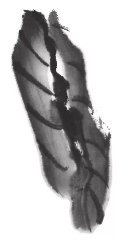 白描荷花100幅画法,荷花的画法白描图