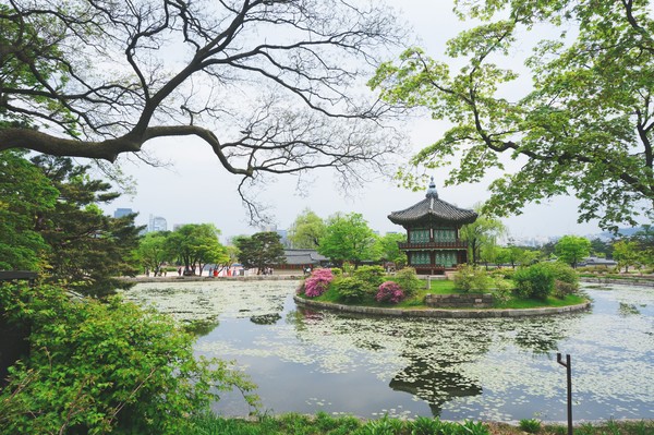 一个念头完整版,一个念头吉他