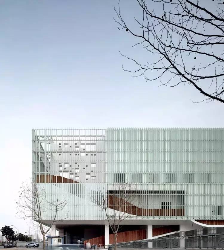 张雷专访视频,张蕾访谈完整版