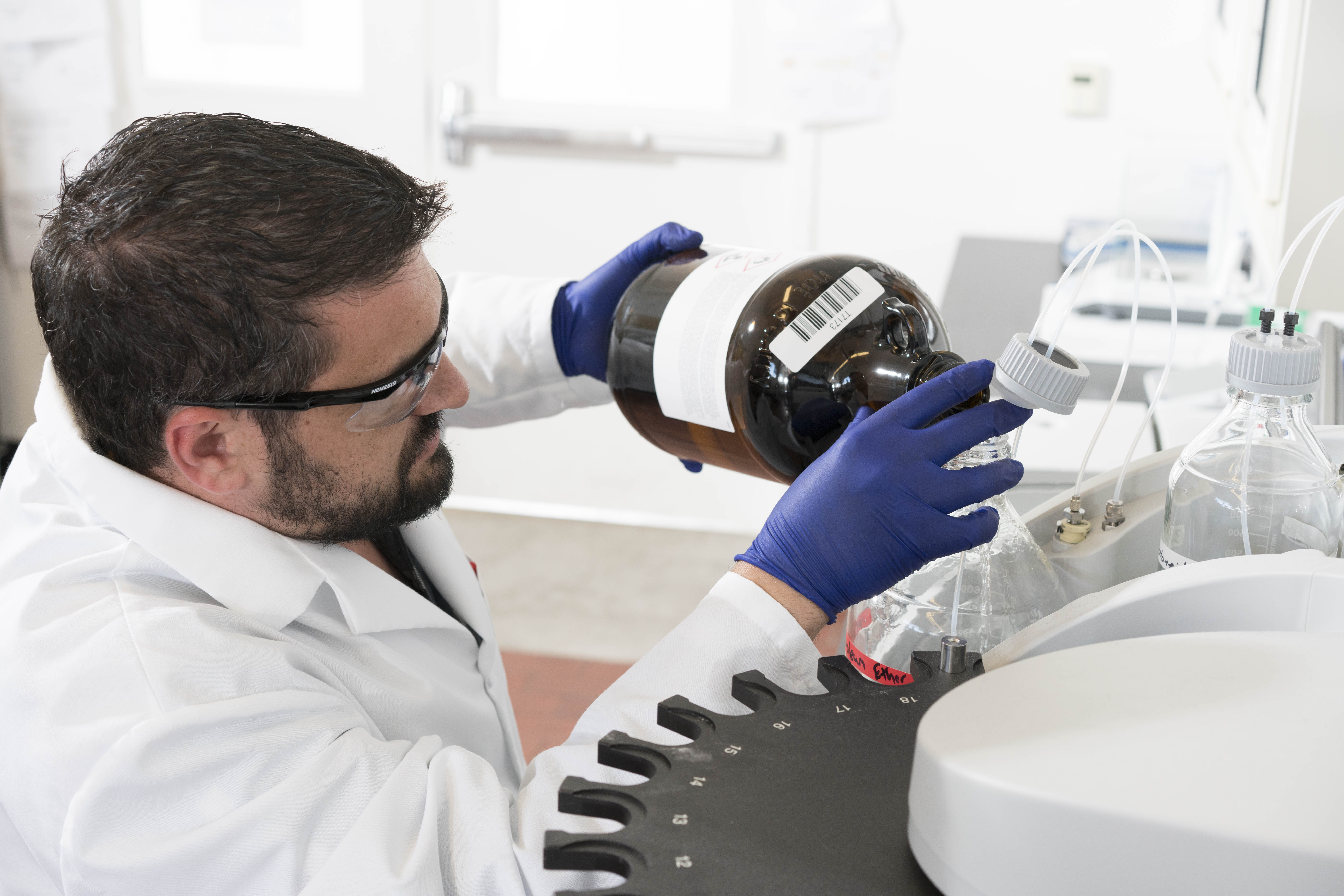 植物种出来的鸡蛋,植物蛋