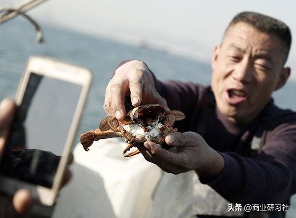 渔民直播卖梭子蟹,67岁老渔民直播