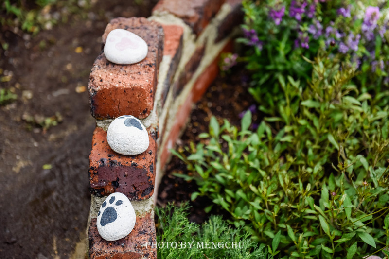 九州别府地狱温泉,别府八大地狱温泉攻略