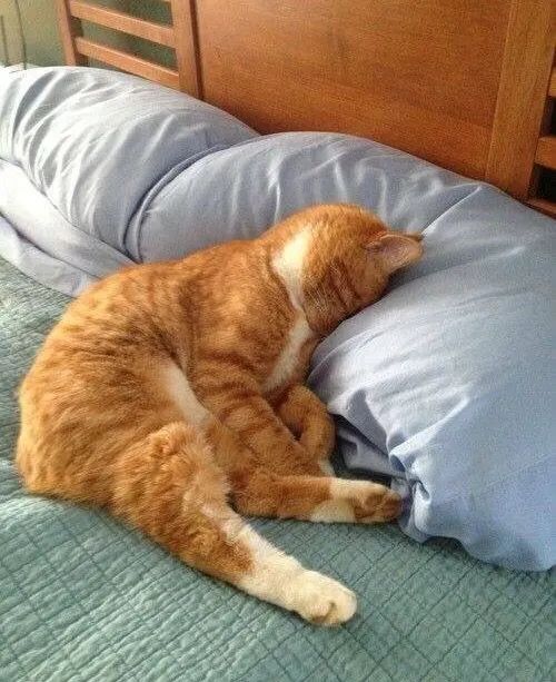 新手穿搭博主如何谈合作,穿搭博主怎么创建品牌