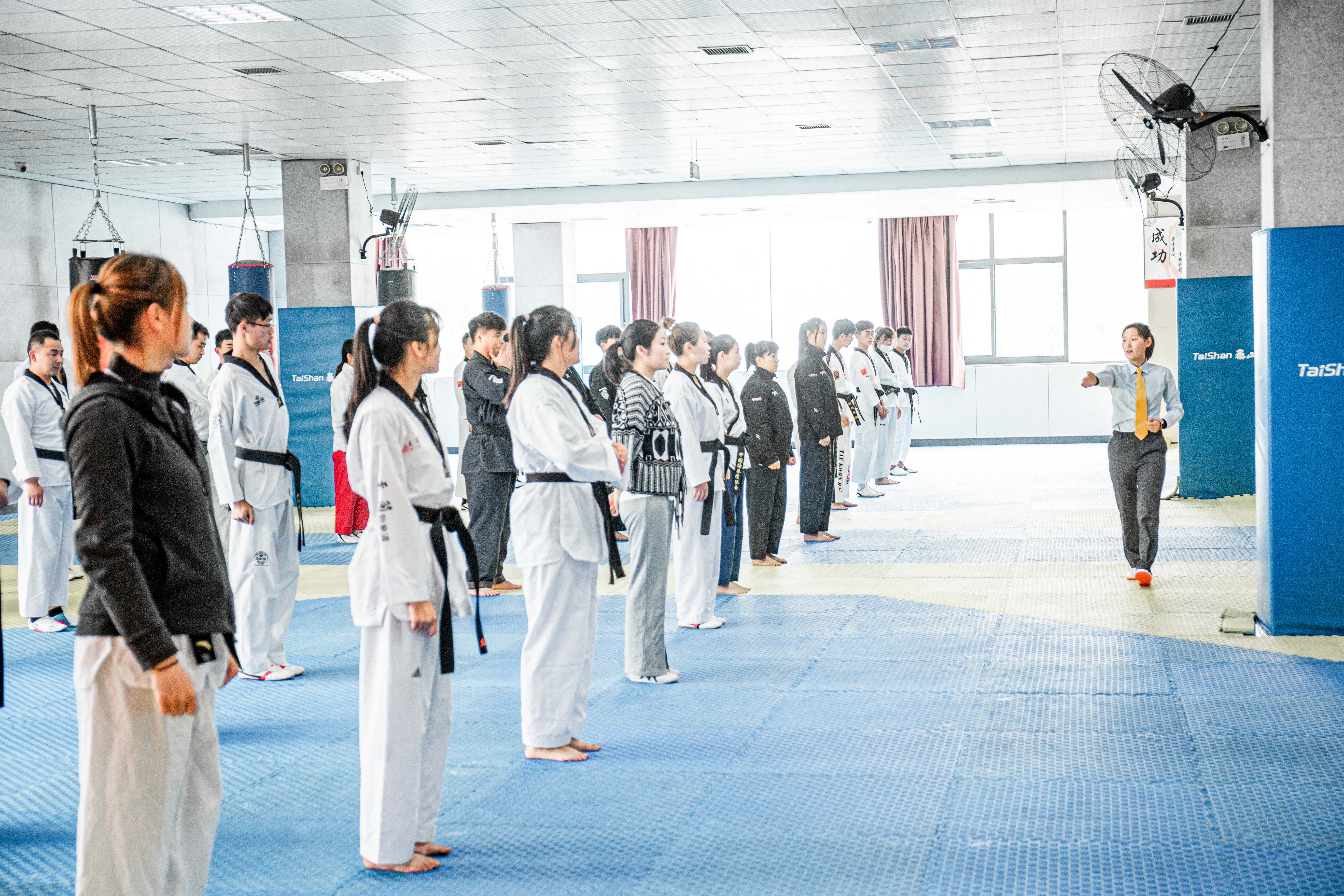 三门峡市跆拳道,跆拳道一级裁判员培训班