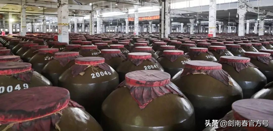 探秘剑南春的风味密码，为什么它这么好喝？