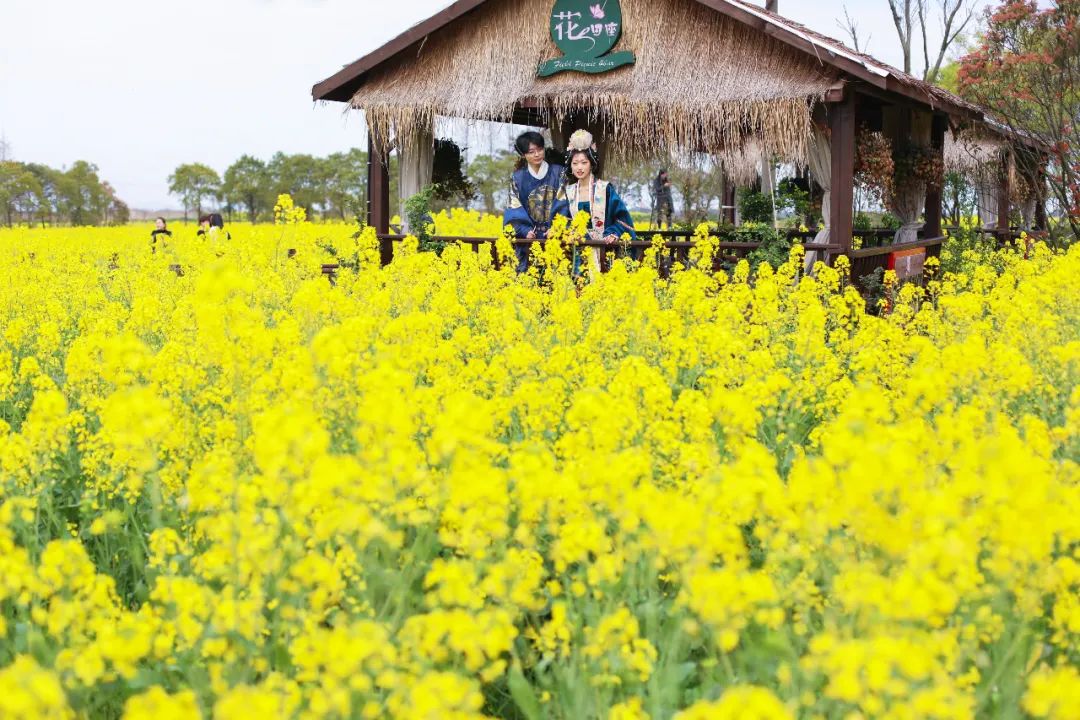 苏州的农村风光,苏州水乡农村风景