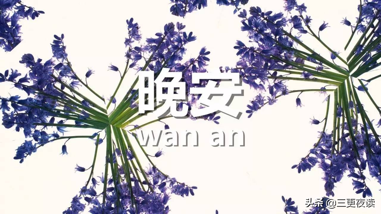 晚安心语不负光阴就是最好的努力,晚安心语伤感心累的语录