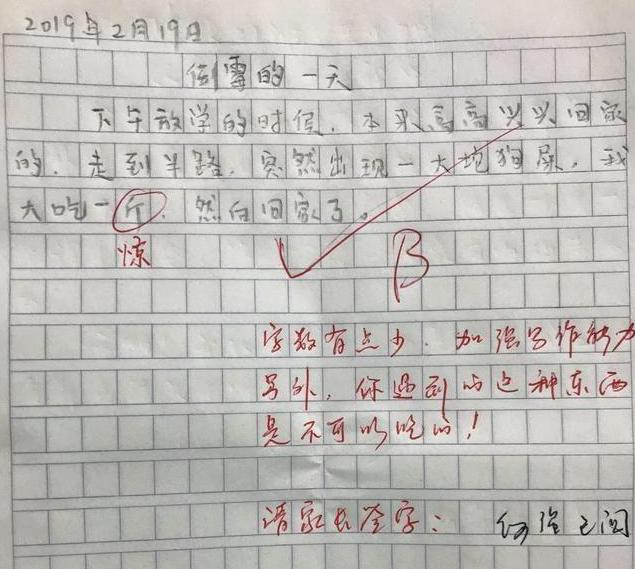 过期的牛奶作文合集,过期牛奶作文