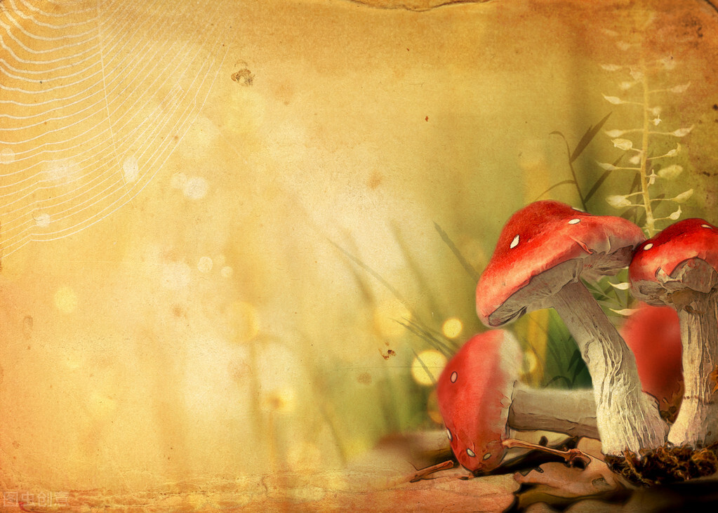 与暑假道别：铭刻于心的记忆，延续着人生的意义