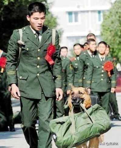 直接退伍和转业有什么区别,2017退役士兵是转业好还是复员好