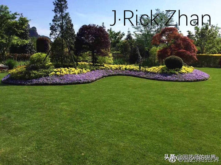 果岭草坪的种植养护方法及技巧,怎么种植一个可以躺的草坪